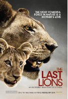 Watch The Last Lions Online